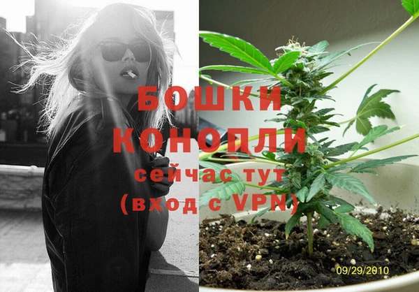 ECSTASY Михайлов
