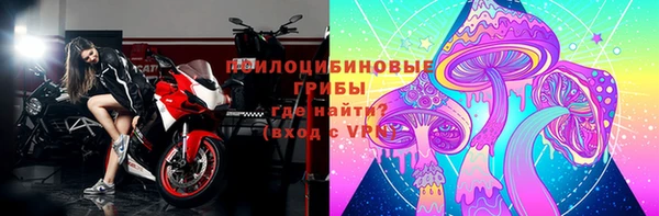ECSTASY Михайлов