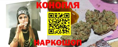 гидра Кингисепп