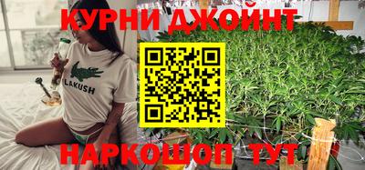 гидра Кингисепп