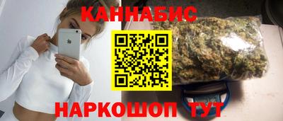 гидра Кингисепп