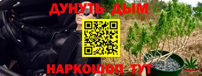 гидра Кингисепп