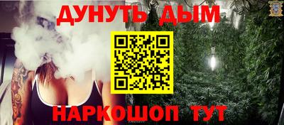 гидра Кингисепп