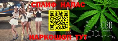 гидра Кингисепп