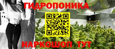 ECSTASY Кинель