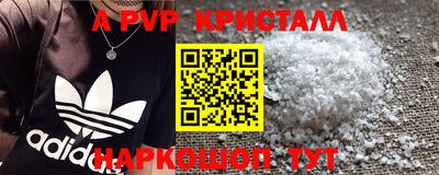 гидра Кингисепп