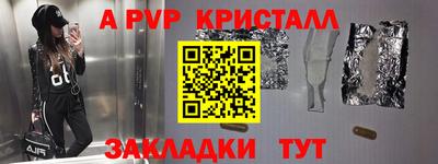 гидра Кингисепп