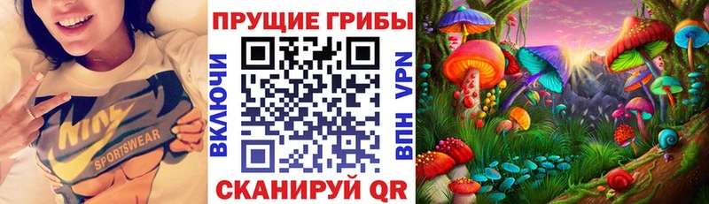 Псилоцибиновые грибы Psilocybe  Чайковский 