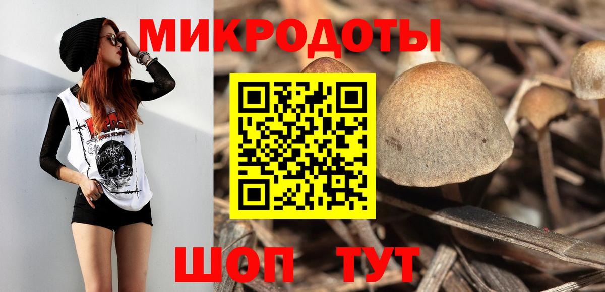 Псилоцибиновые грибы Psilocybe  Чайковский  купить наркотики цена  Псилоцибиновые грибы мицелий 